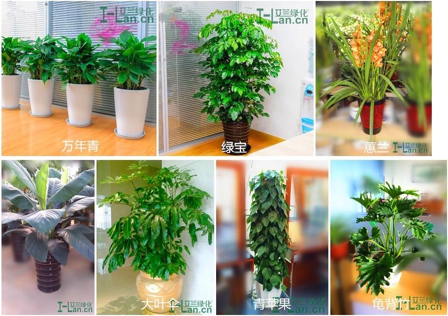 hahabet星辰大海(中国区)有限公司-官方网站